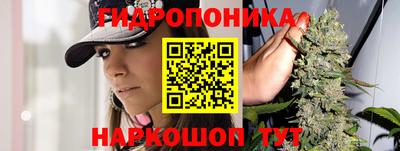 mdpv Лесосибирск