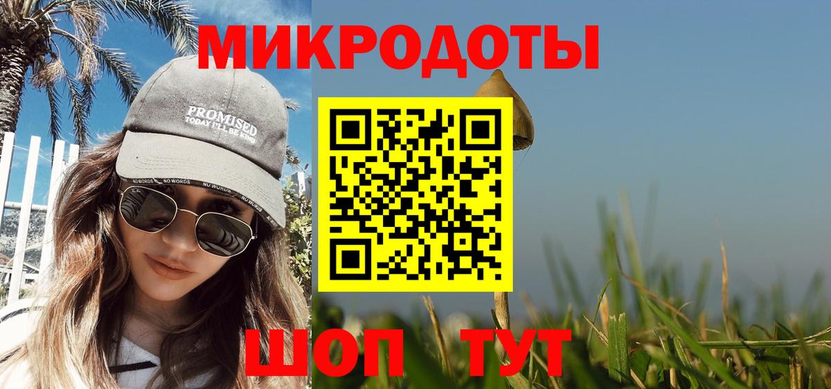 Галлюциногенные грибы Psilocybine cubensis Тверь